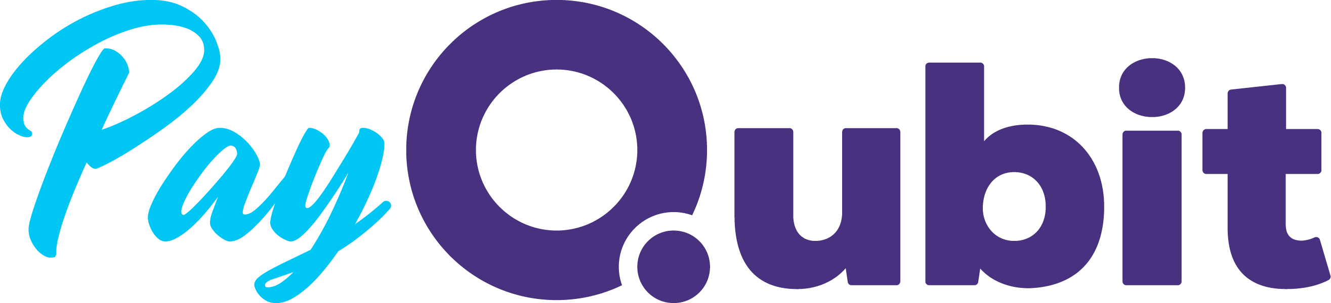 PayQubit Logo